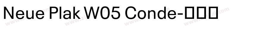 Neue Plak W05 Conde字体转换